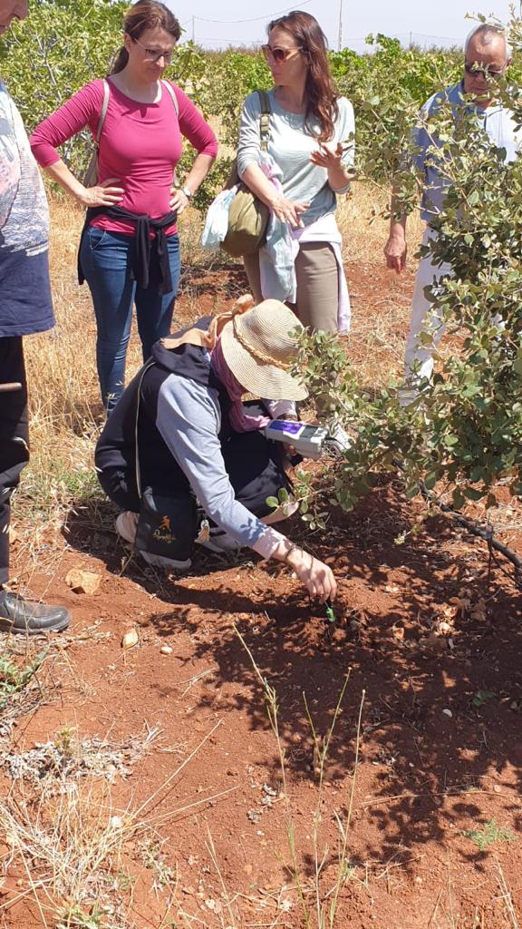 IntactProgetto's tweet image. Beatrice Belfiori and Claudia Riccioni (@CNRsocial_) on the 29th and 30th of June during their secondment at @um5rabat spent two days visitin examples of successfully cultivated T. melanosporum orchards in Imouzzer Kandar with Professor Lahsen Khabar about management practices.