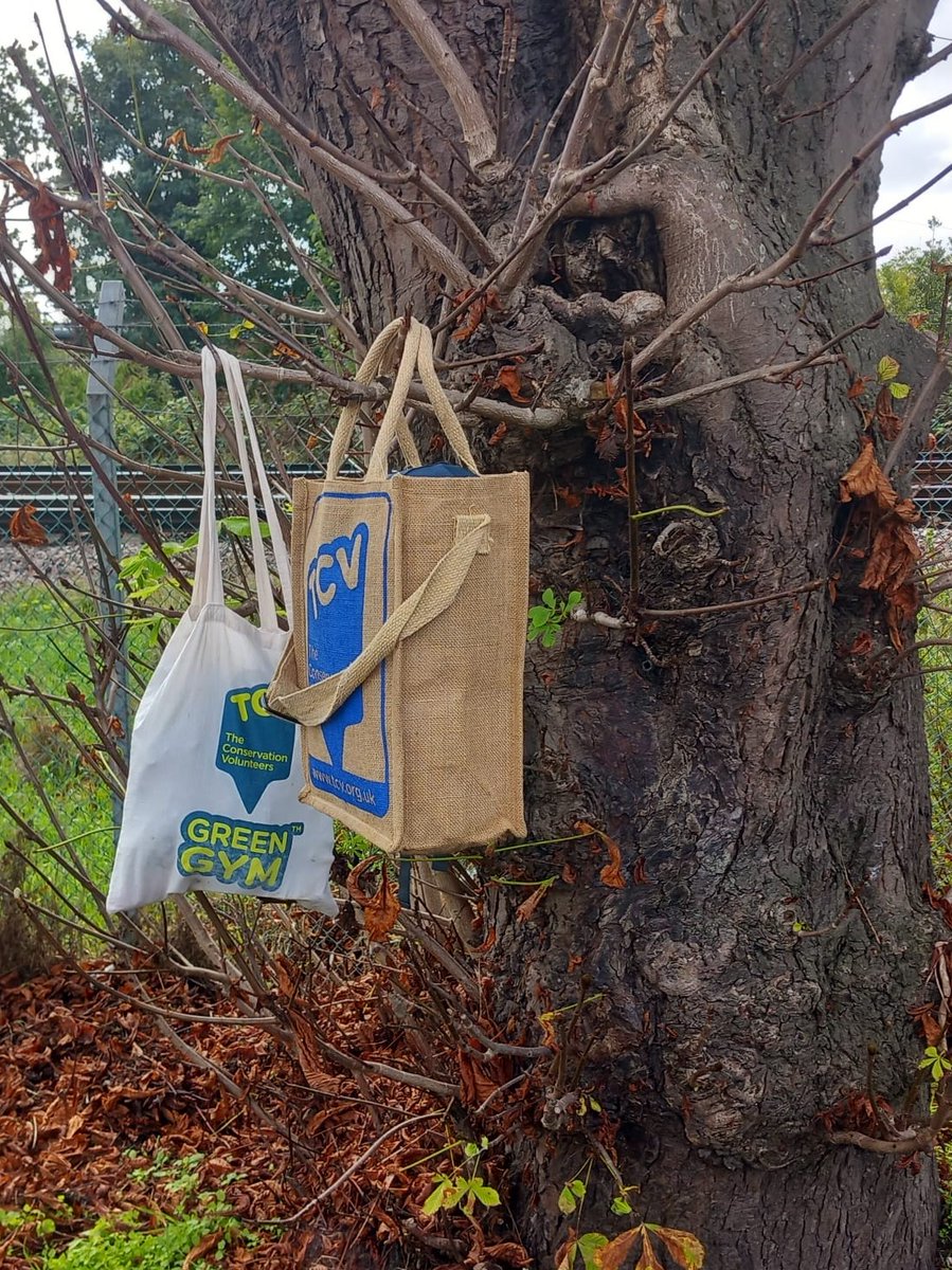TCVRichmondGG's tweet photo. Green Gym Weekly Update, 16th September 2022 - https://t.co/obCZ8VNfn5 @LBRUT @FriendsRivCrane @habsandheritage #joininfeegood #GreatBritishBeachClean https://t.co/79AXeoGTkL