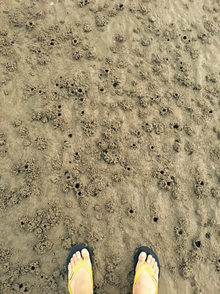 ilkdesign's tweet photo. Texture Love!! 
.
.
Finding and following them wherever we go!!
#Ilk #Ilk_India #fashion #design #fashiondesign #style #styleguide #slowfashion #texture 
@adhikvinita @TG_tanay https://t.co/0Zu2jT0nqV
