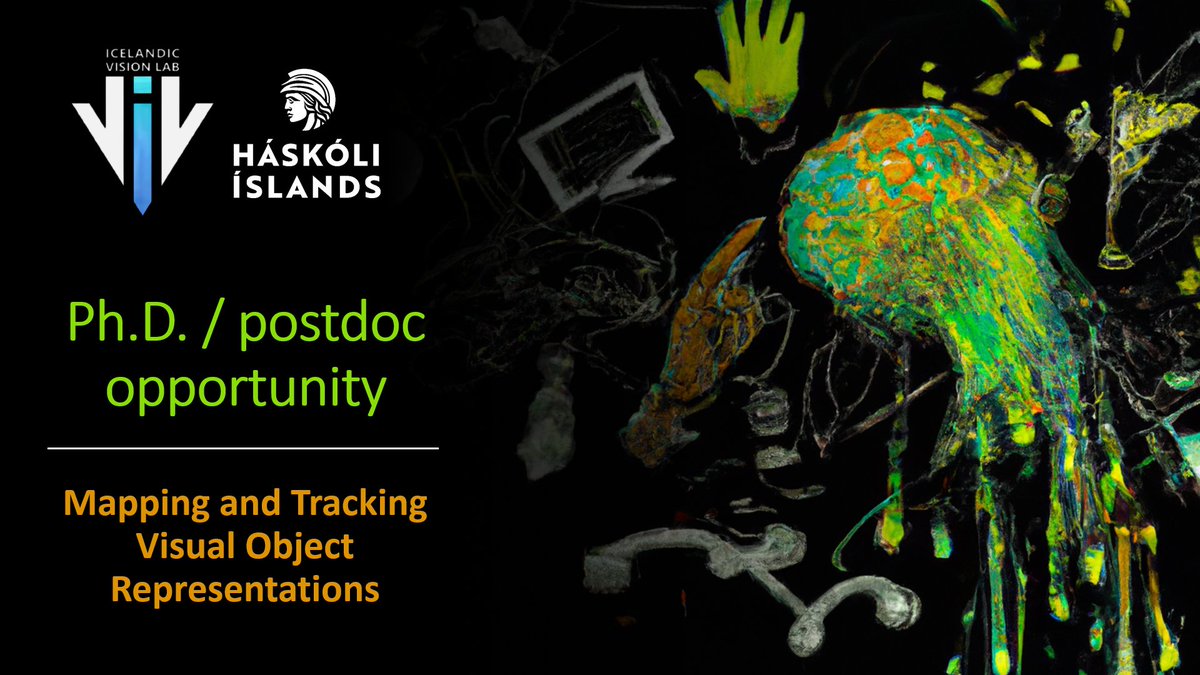 Icelandic Vision Lab tweet media