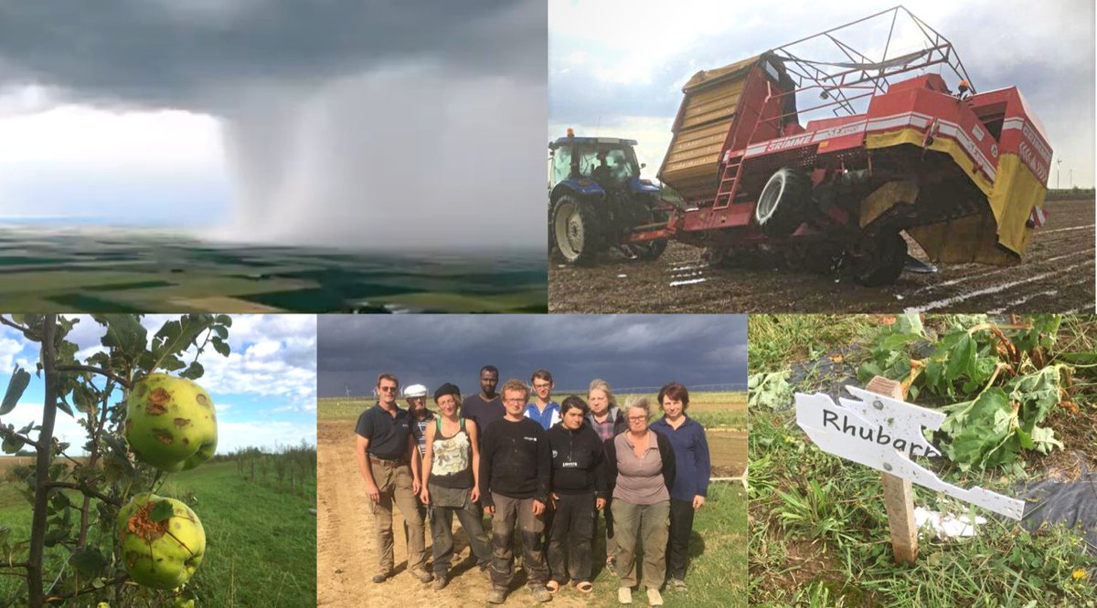 SergeZaka's tweet photo. 5 septembre - Eure et Loir.
Un orage supercellulaire engendre un microrafale &amp; un rideau de grêle. La Cueillette Varet est dévastée : récolte anéantie, matériel saccagé, 8 salariés au chômage.
Merci de partager la collecte pour les aider à se relever 🫶 :
https://t.co/dJ6aVGFca1 https://t.co/Fxm91Bo2Bt