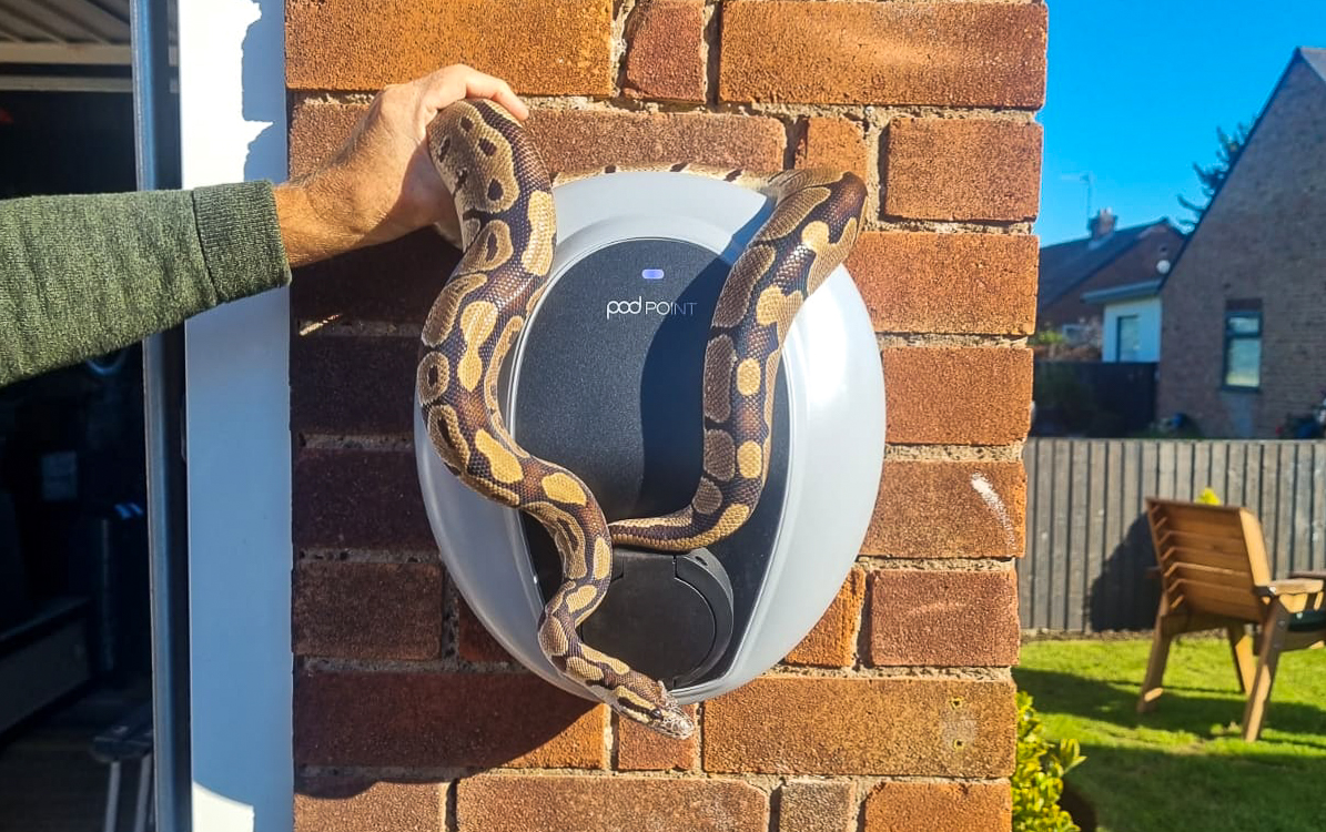 AeroEVSolution1's tweet photo. Hercules enjoying his ssssssssuper Podpoint install!
#EVcharging #carbonneutral #evcharging #evchargers #ev #electriccar #electriccars #electricvehicles #homecharger #podpoint #podpointsolo #solo3 #zapmap #tesla #electricmobility #sustainability #zeroemissions #snake https://t.co/XOuuo8gSO8