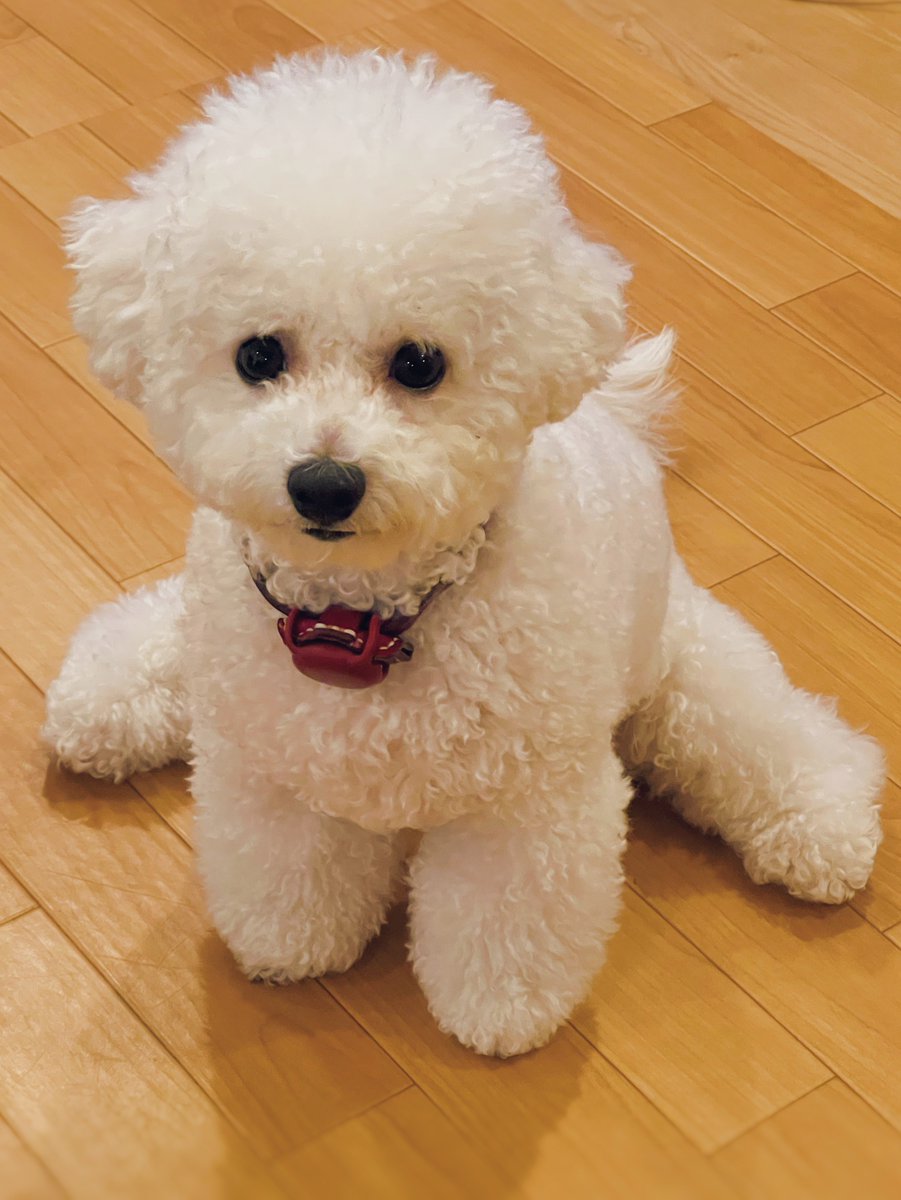 座りかたそれであってる？