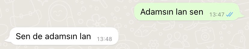 Sabahtan akşama kadar birbirimize salladığımız kankamla konuşmanın sonu..