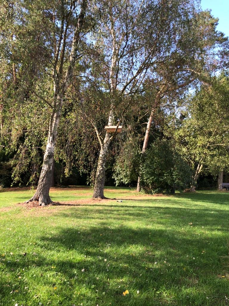 Steenuilenkast opgehangen. Hopelijk vinden ze hun nieuwe onderkomen komend voorjaar!