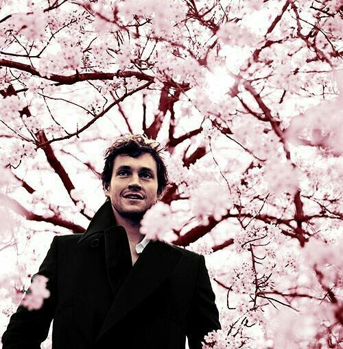 cherryblossie's tweet photo. Deméter, mi madre, me llamó Perséfone...

          Pero como ahora somos modernos, prefiero Persie o Percy. De la floristería Blossom. 

         🌸Cabellero de la primavera🌸 https://t.co/8YU8zHQk2c