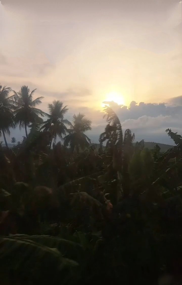 AnitaNa41783203's tweet photo. One of those evenings! 😊 https://t.co/adSHcBfOg2