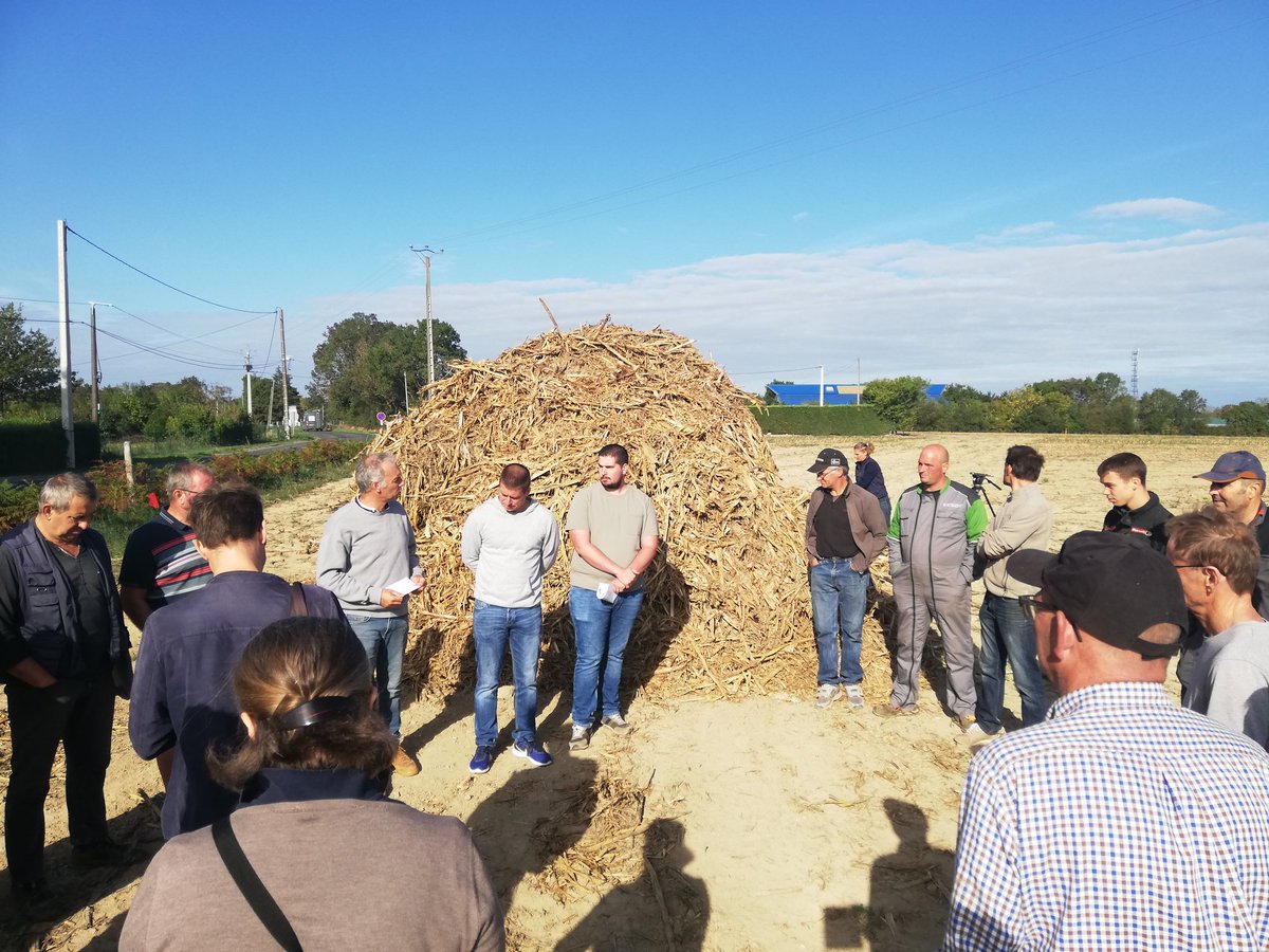 Ras le bol des #agriculeurs face aux dégâts de 🐗 dans les cultures. Action ce matin près d'#Angers : il faut réguler + pour avoir -  de dégâts. Nous restons mobilisés 💪#chassons