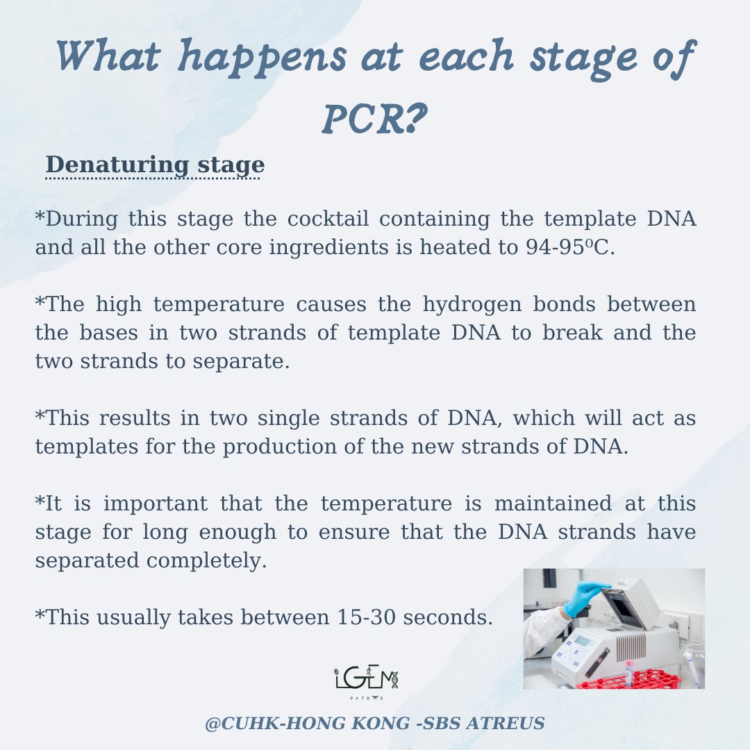 igem_patras's tweet photo. 🔍 We will introduce you to the Polymerase Chain Reaction (PCR)!
To know more about different techniques in synthetic biology,  remember to visit #SynBioOtd!
The activity is co-hosted by iGEM CityU and iGEM CUHK-Hong Kong-SBS!

#igempatras2022 https://t.co/5vmVpGHgZ9
