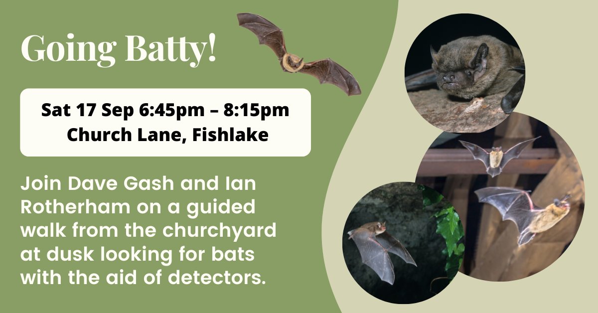 Fishlake and Sykehouse Actions for Climate Change tweet media