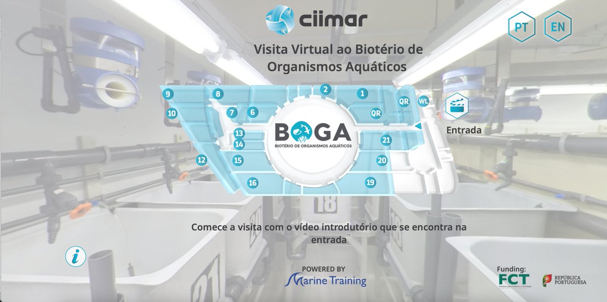 CiimarUp's tweet photo. Are you ready for something awesome? 😍🦀
We are launching our Aquatic Organisms Bioterium Virtual Tour!
This tour is a result of the work between #CIIMARscicomm, #CIIMARBOGA and #researchers!
Check the link and embrace the view 😎🐟
#CIIMARscicomm  
https://t.co/THkNy1EZVi https://t.co/hOEC33EGlw