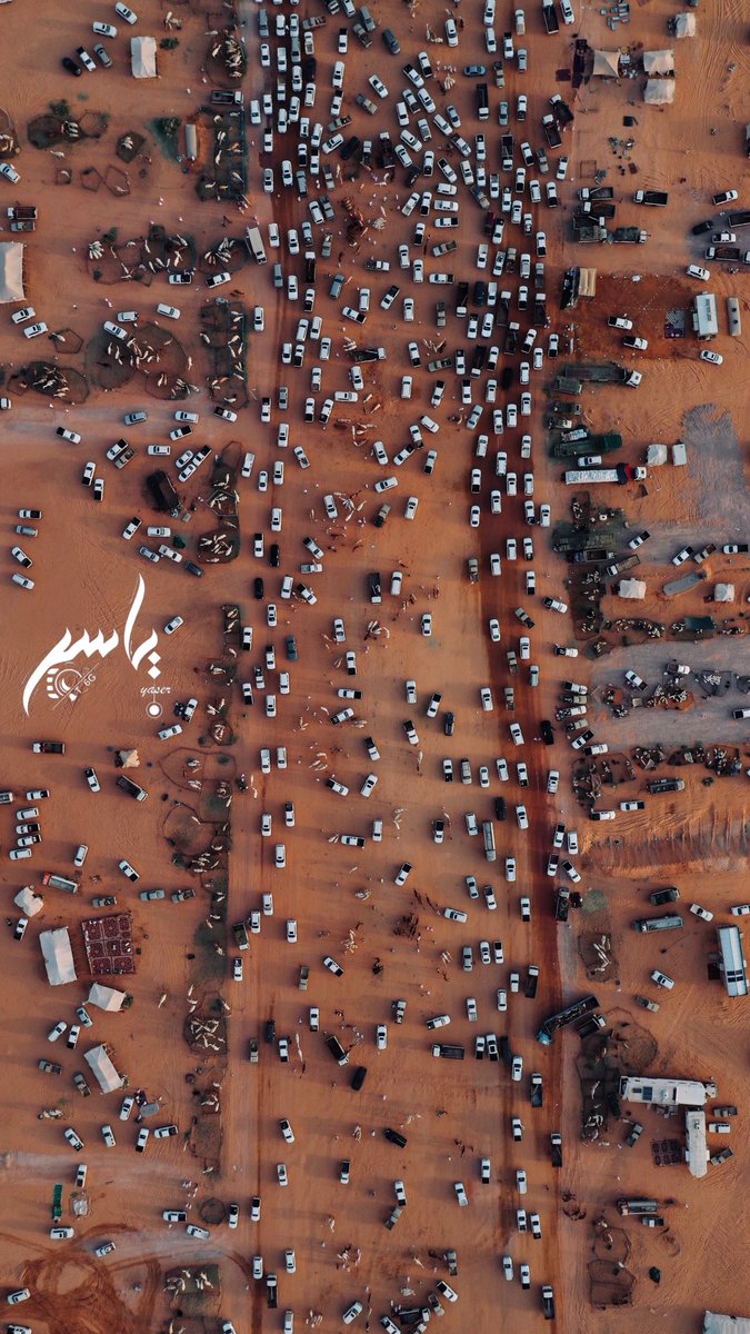 hb6's tweet photo. لحدن يواخذني على حب الحروب
انا على ربعي تجيني حمييه
#حرب 
#مزاد_مدرج_للإبل https://t.co/0vSRQX7Pj8