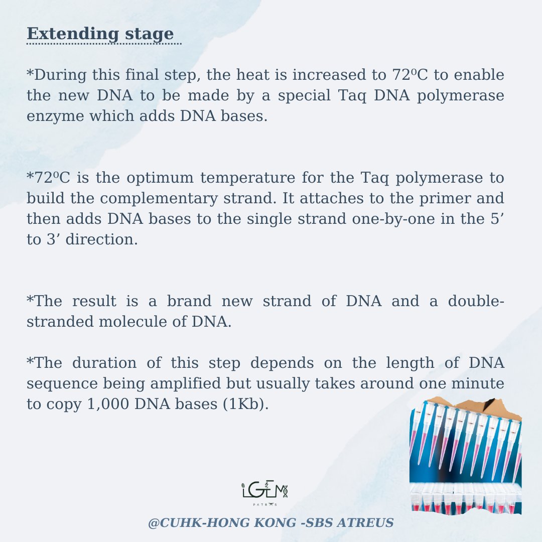 igem_patras's tweet photo. https://t.co/cn90SPBjDW