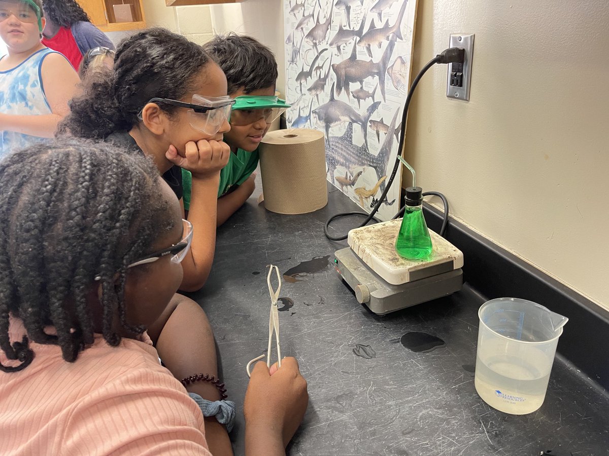 earls_connie's tweet photo. Students were very excited to observe thermal expansion and contraction in water as it heated and cooled. https://t.co/Zqw9NQTcoj