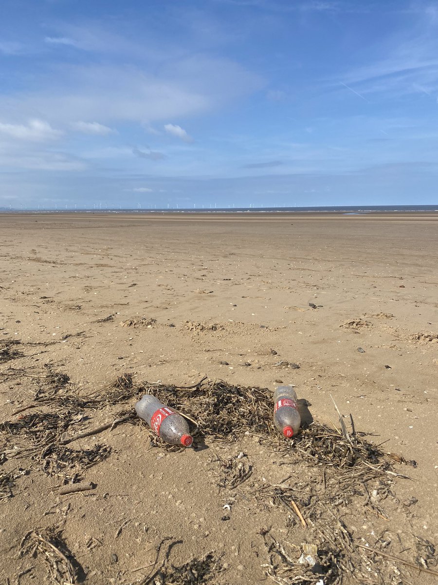 Lizzie Prior tweet media