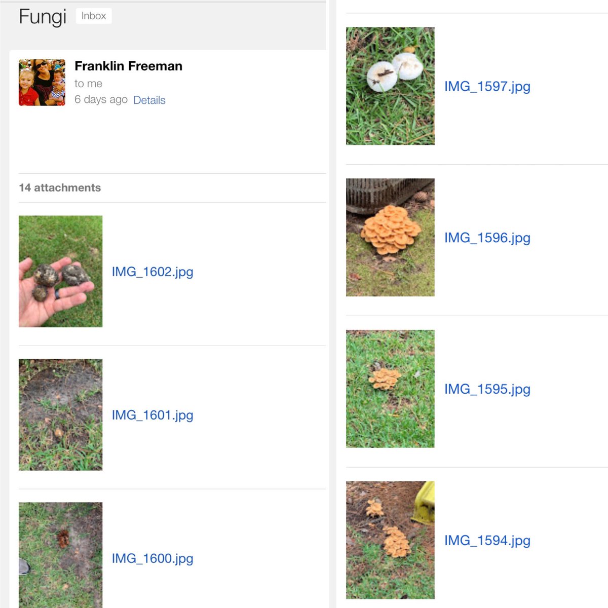 BugDoc_'s tweet image. My husband is now sending me #friskyfairyringfriday content 🤣🙌🏻