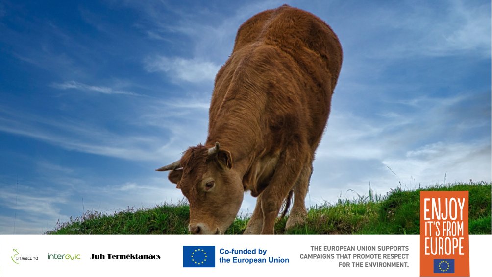 El 94% de los europeos apuesta por el #BienestarAnimal en las granjas. Nosotros, los ganaderos de <a href="/Provacuno/">PROVACUNO</a>, somos parte de ese 94% y tenemos un compromiso indisoluble con el Bienestar Animal #CompromisoBienestarAnimalEuropeo . 🇪🇺 💪