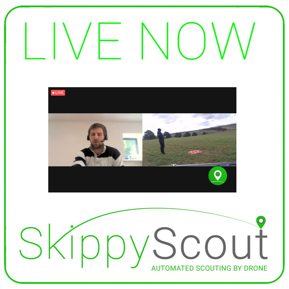 Skippy Scout tweet media