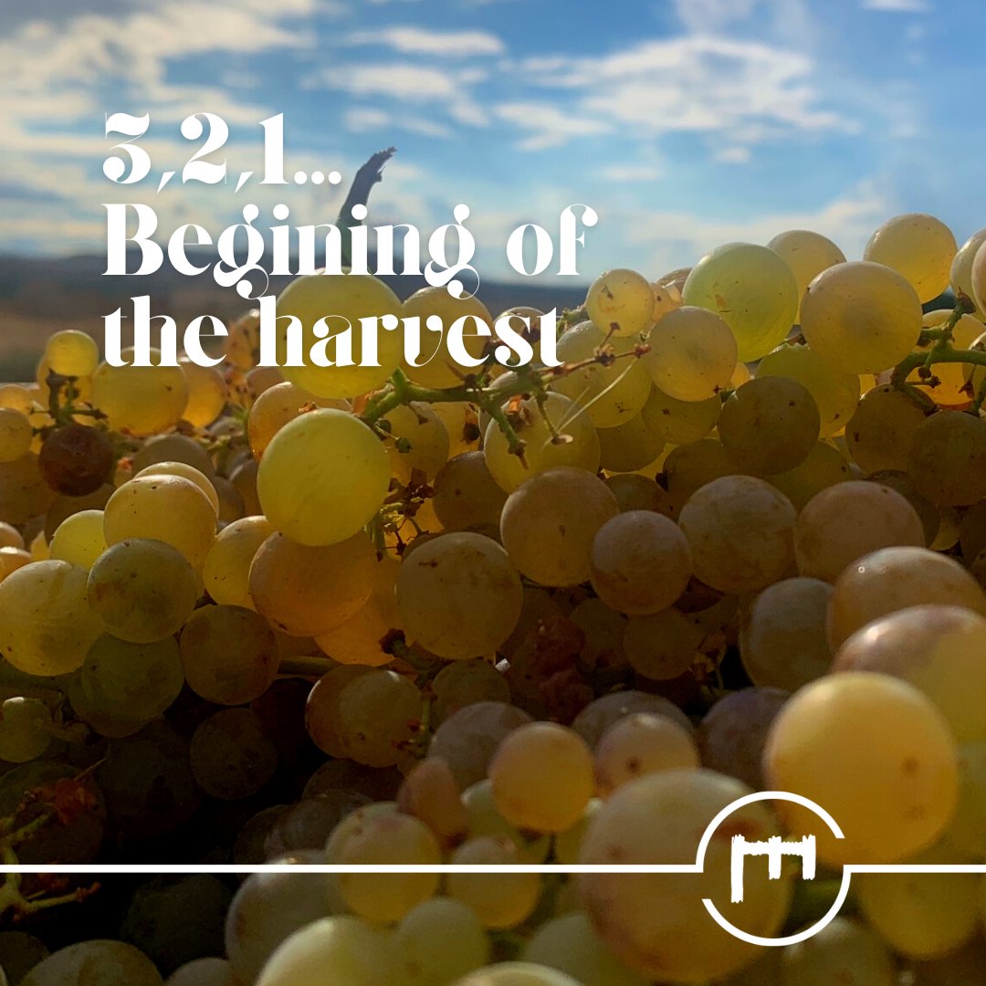 Resalte de Peñafiel tweet media