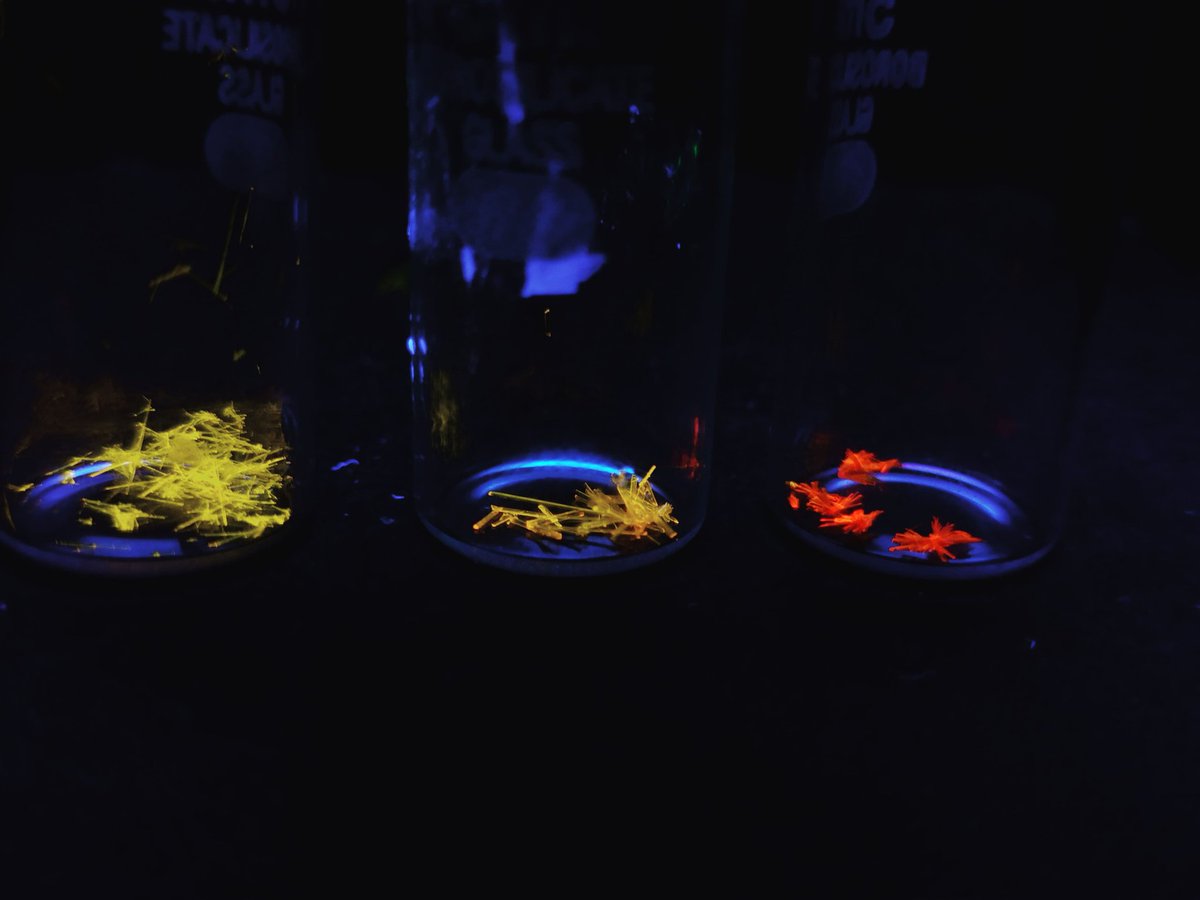 TADF crystals💙💙💙
#realchem #PhotoOfTheDay #Crystal #RealTimeChem #FluorescenceFriday #chemtwitter
#TADF