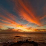 ツイートに含まれる画像