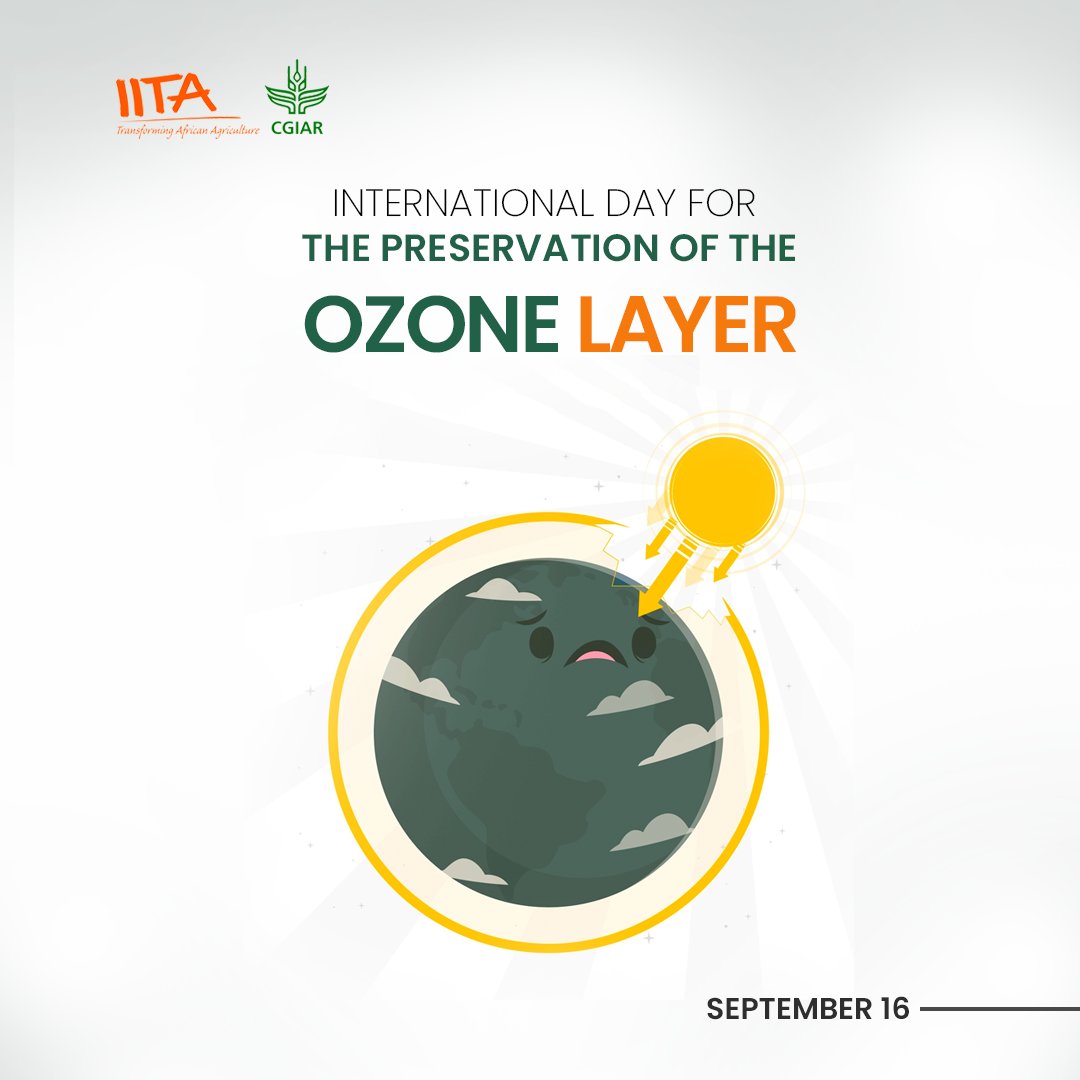 IITA_CGIAR's tweet photo. Today, let us all remember to protect the #ozone and save the #earth through our daily actions.
.
#Ozonelayer #climatechange #environment #WorldOzoneDay #IITAForests https://t.co/VgXosEwEg8
