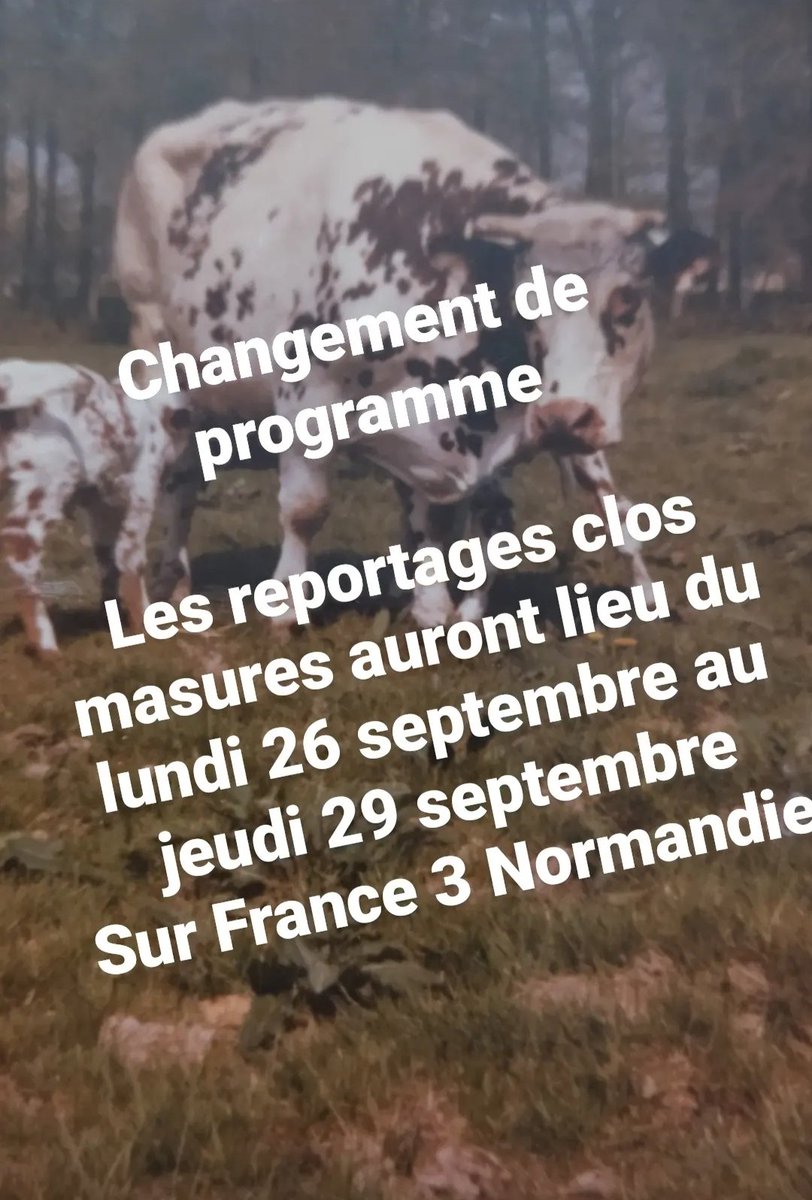 Les Cocottes Urbaines (@cocoturbaines) on Twitter photo 