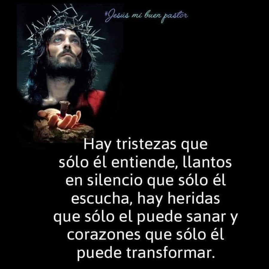 En este viernes, 16 de septiembre, 2022, ponemos en las manos de Dios todas nuestras cargas y preocupaciones y confiamos en su Providencia. Que sea Él quien actúe con Misericordia en nuestras vidas.