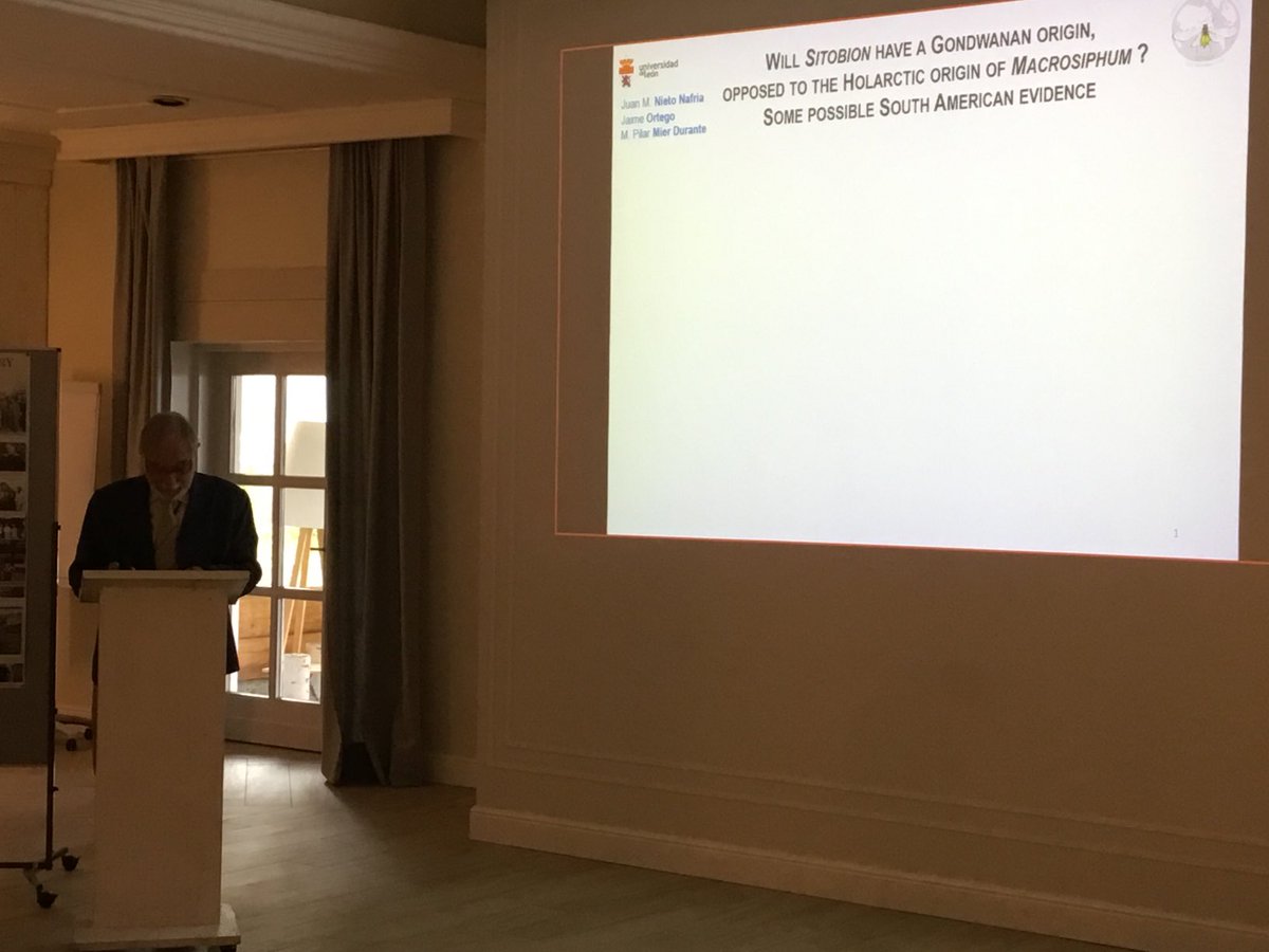 ColinFavret's tweet photo. Juan Nieto Nafría is back to propose the hypothesis that Sitobion is the Gondwanan relative to the Holarctic Macrosiphum. #11ISA https://t.co/7FV8WTznBa