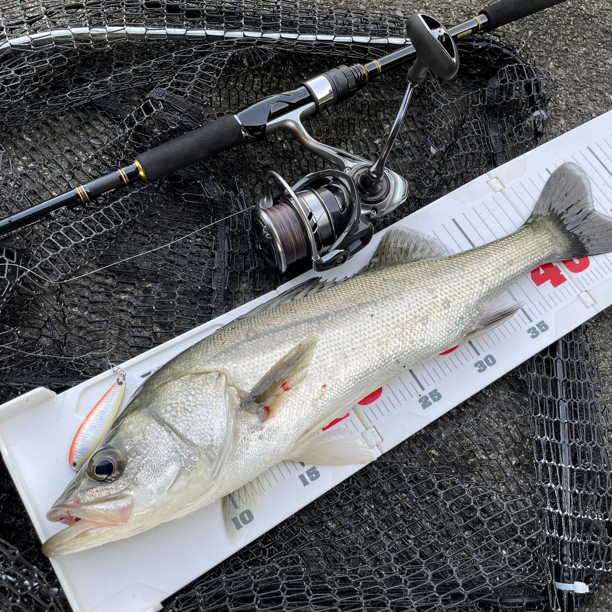 Tom (@bluerunner106) / X