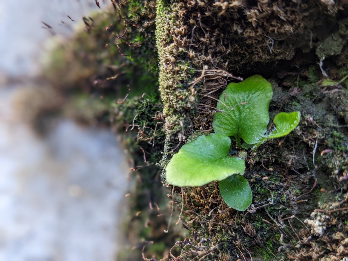 RorgViking's tweet image. Sometimes it&apos;s good to slow right down. #london #lyinginstatequeue