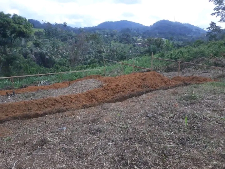RadioCultureFm's tweet photo. La commune de #Matomb aura bientôt son Centre Zootechnique.
#NyongEtKellé #Cameroun #Cameroon #CultureFM https://t.co/mRNg8zrYlW
