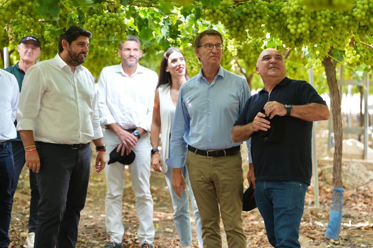 NunezFeijoo's tweet photo. Hoy he podido visitar una empresa hortofrutícula en Alhama de Murcia y reunirme con empresarios del sector, a quienes he trasladado nuestra propuesta de bonificaciones a determinados gastos de producción, medidas para contener el precio de la energía y un pacto nacional del Agua. https://t.co/AKWZOKOQM8