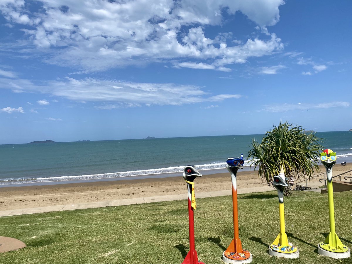 vanesaboch's tweet photo. Today our CQUniversity Physiotherapy, Occupational Therapists and Speech Pathology students volunteered their time to assist people of all abilities and all ages to access the beach and have a great time at Beach Day Out 2022 in Emu Park! Many smiles were found! https://t.co/9Rj9mraZnl