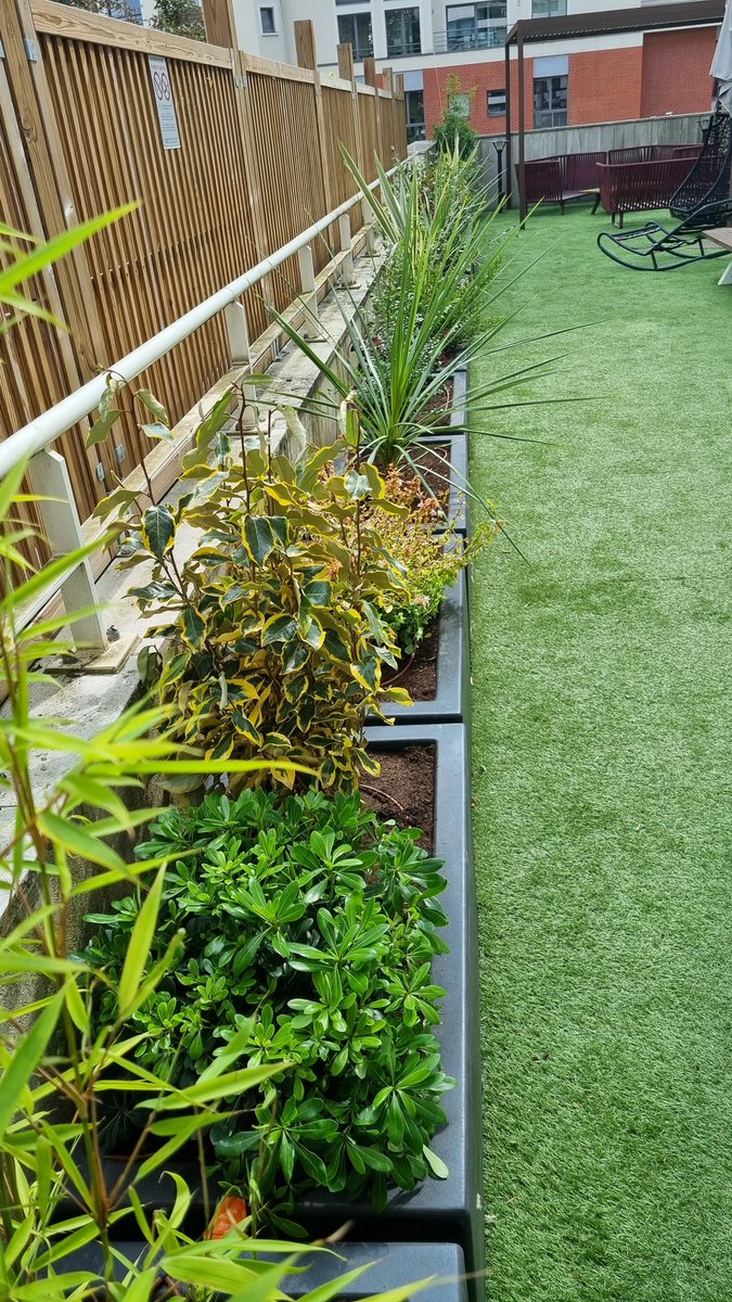 #terrasse @Avaya_FR merci aux paysagistes..