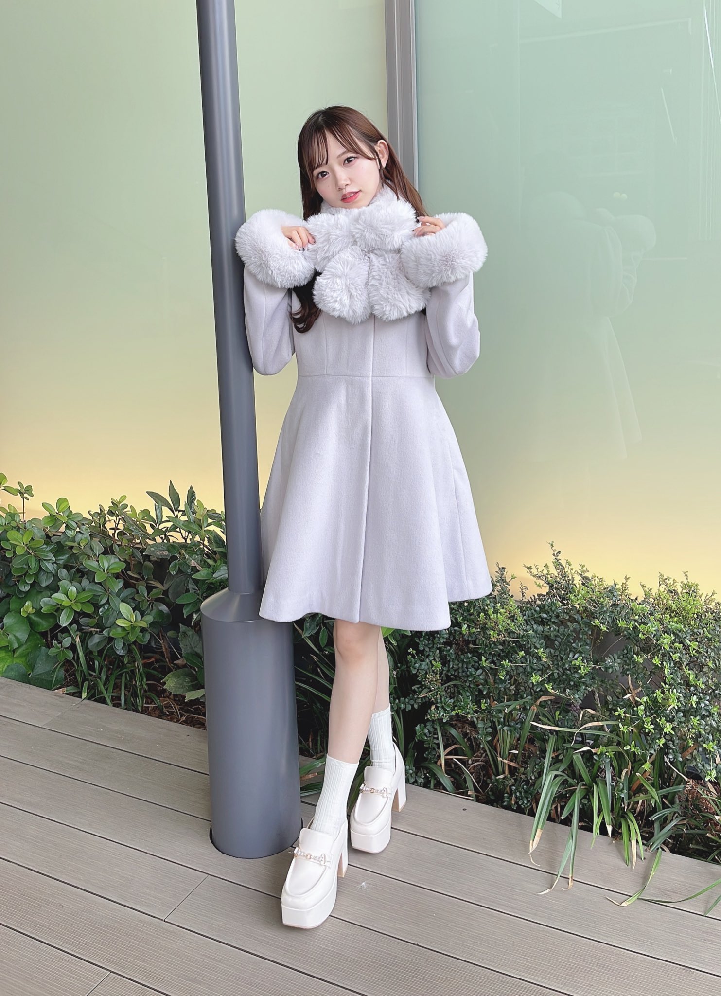 evelyn リボンティペットコート evelyn - エブリン2024リボンティペットコートの通販 by ヨプの