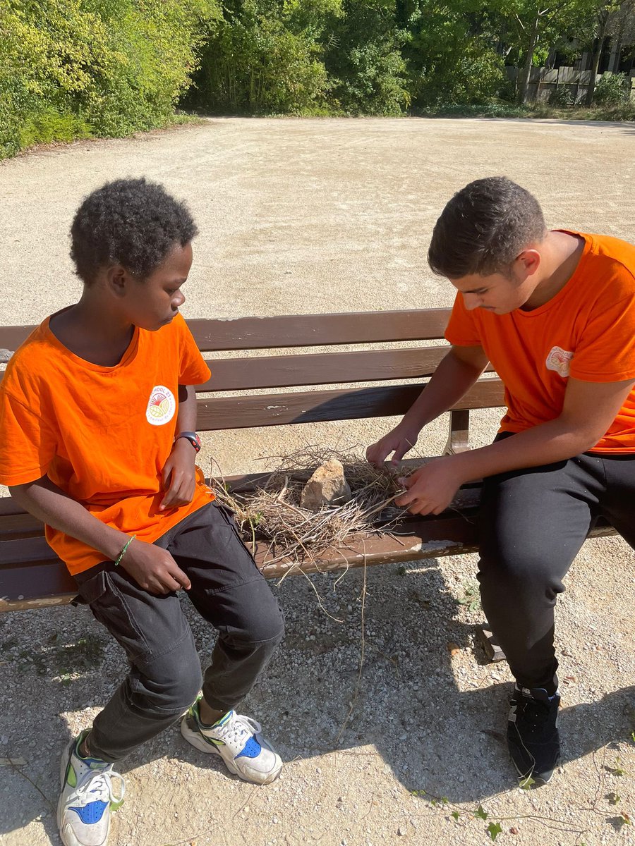 HubSchool21 tweet media