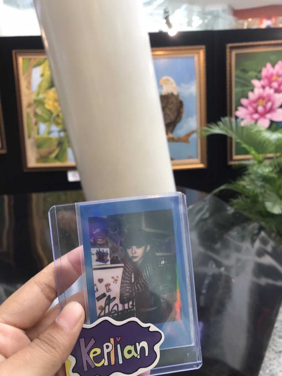 shenshouty's tweet photo. sssst I go to the painting exhibition/auction, eat and watch movies with Shiro
 #MashiroTheExplorer #시로짱봐줘 https://t.co/AL08guCBMV