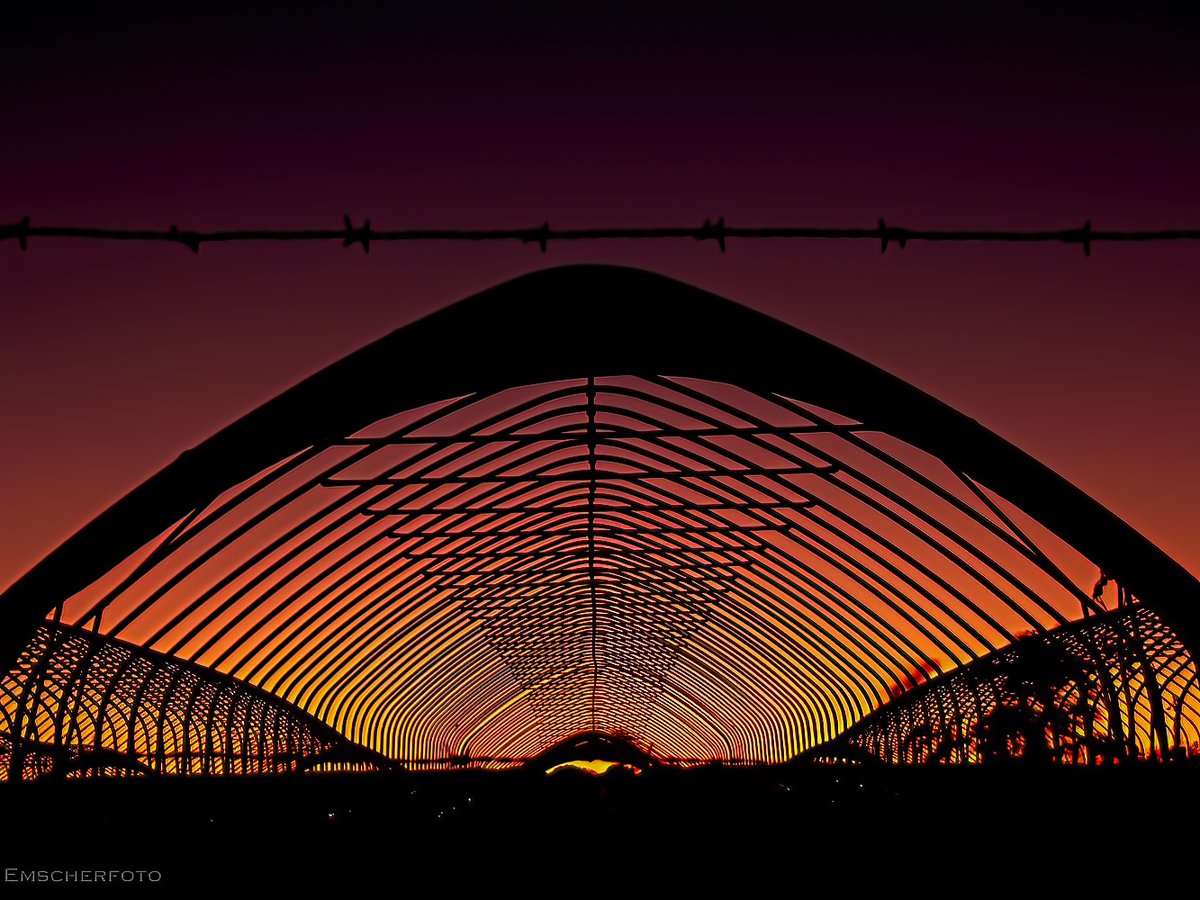 thisdigitaldark's tweet image. #StormHour #ThePhotoHour 
🎶Strawberry fields forever...🎶
(a Strawberryfarm in a cold winter sunset...)