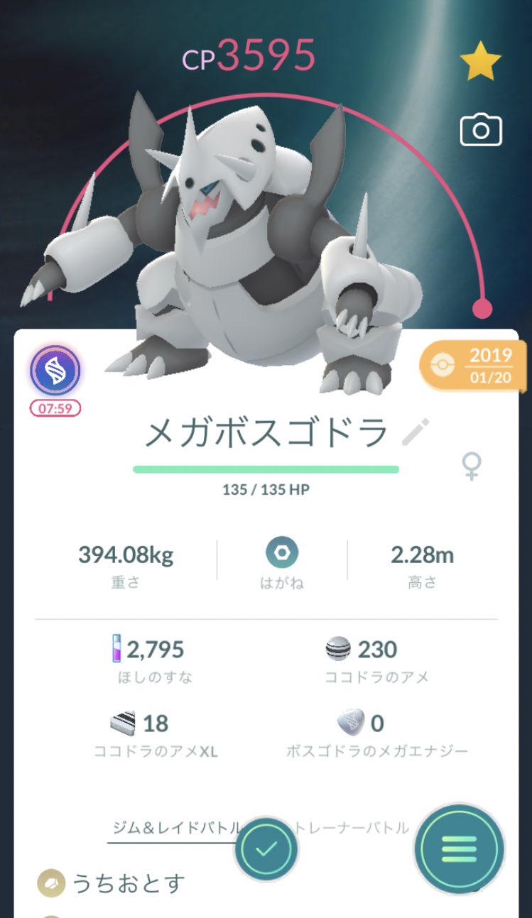 ミニリュウ文鳥𓅪 Mini Bunchoo Twitter