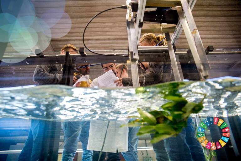 Unite! Alliance tweet media