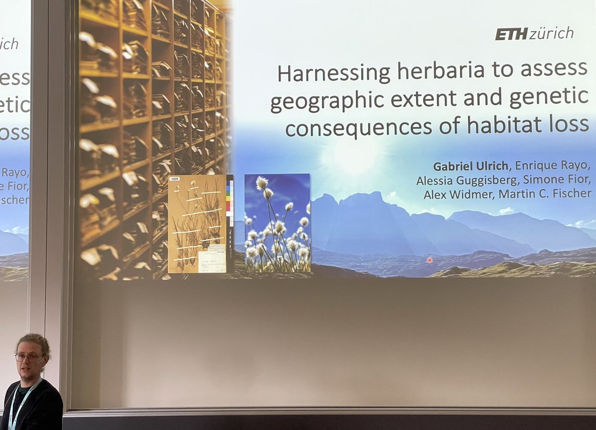 Herbarium - Univ. of Hohenheim tweet media