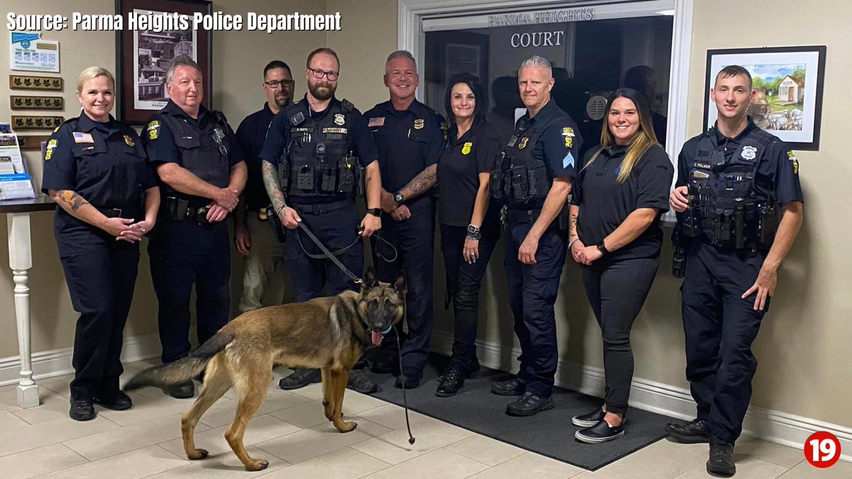cleveland19news's tweet photo. The Parma Heights Police Department is introducing its newest member: K-9 Officer Gunny Bennett! https://t.co/3mxOtTGqVy https://t.co/jnErJYWYhn