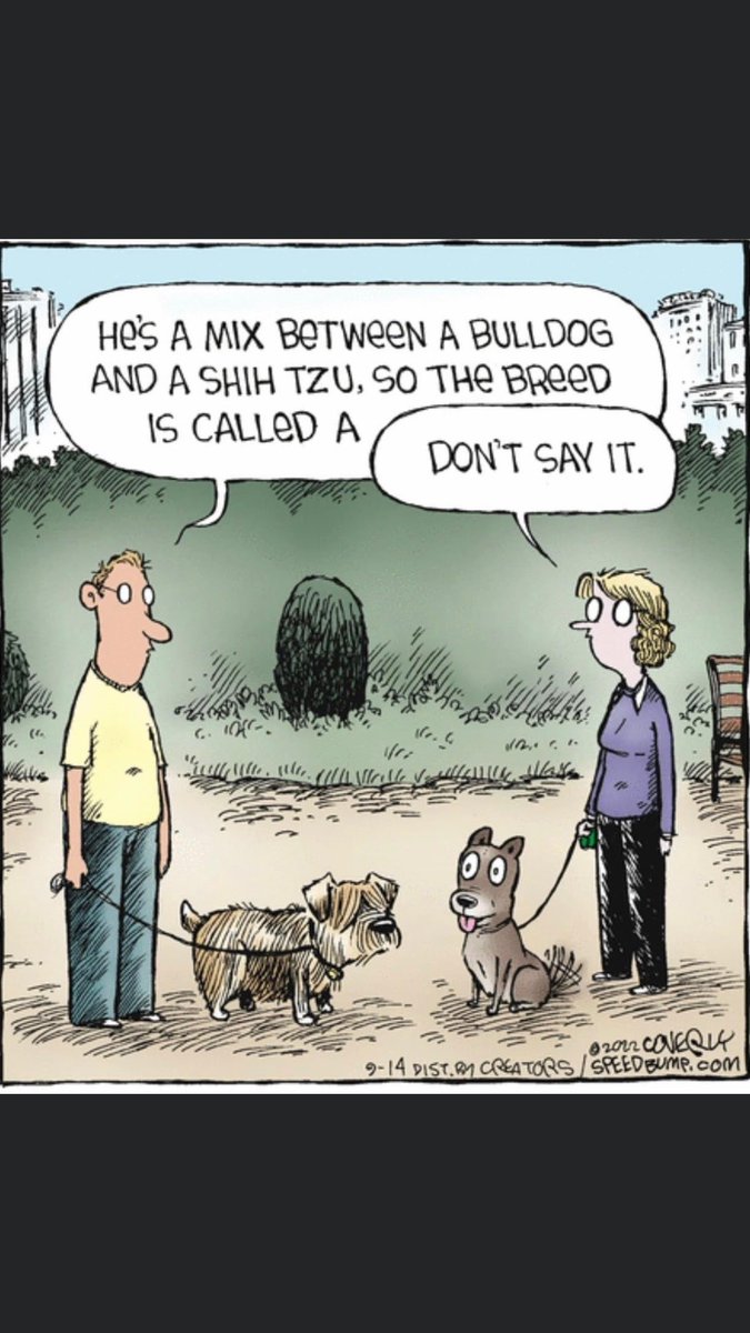 MorningsCross's tweet photo. A good cartoon to say in the fewest words possible what it took a stumbling @joebiden to say about the #BrokenBorder. https://t.co/Wz5PovSW7W