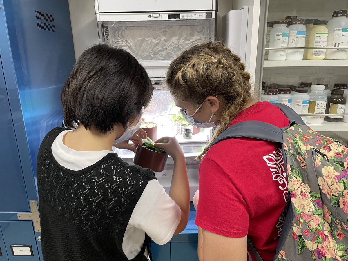 GALC_Hawkeye's tweet photo. Educational collaboration and great food! #GALCJapan https://t.co/L0mTot3ivM