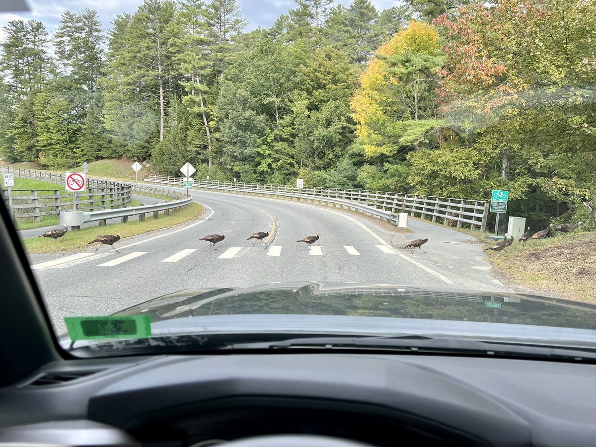 Jeff Stewart tweet media