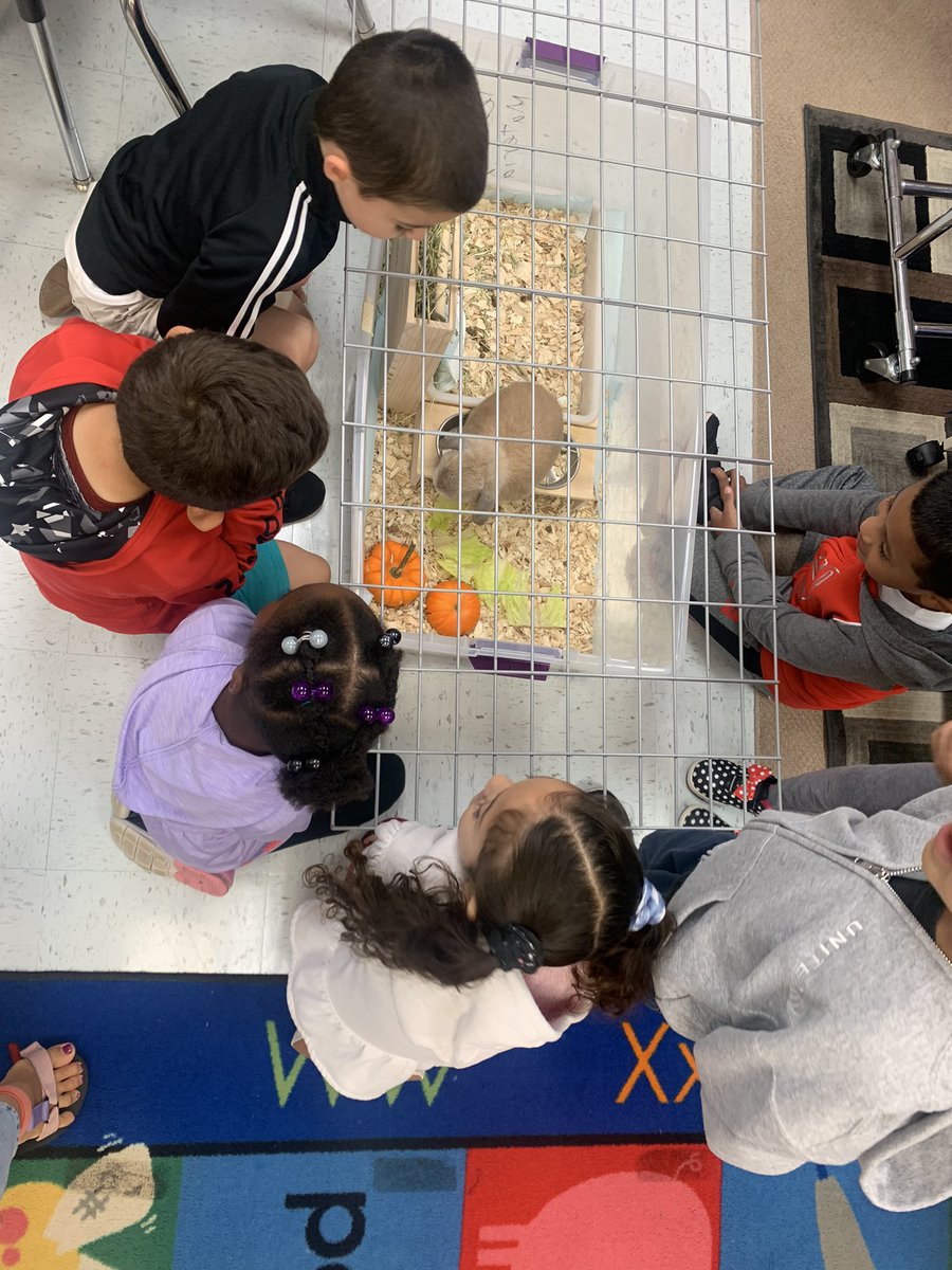 Mrs. Gulley tweet media