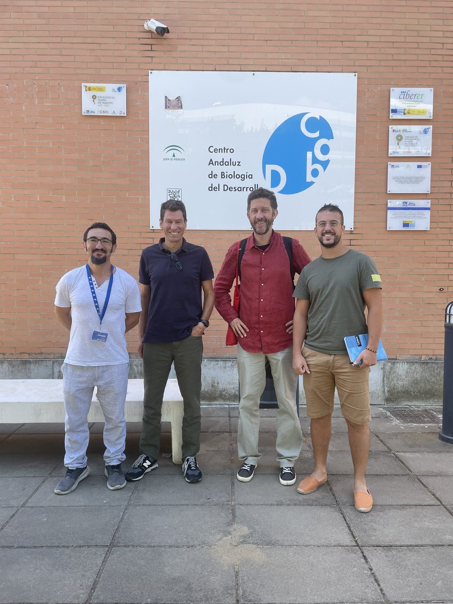 CABD_UPO_CSIC's tweet photo. Today Miguel Fortuna @labfortuna from @ebdonana gave a great talk about phenotypic plasticity in digital organisms to the #CABD community!🧬Followed by an informal get together with the junior committee! Dr. Fortuna is being hosted by @fcasfer!A real connection from @CsicLifehub https://t.co/SwyfuBIuXE