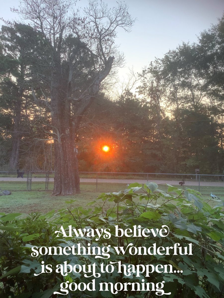 FaraHunter3's tweet photo. Always believe something wonderful is about to happen… good morning ☀️ 
Xoxo 
Positive vibes for your day and weekend 💕
#tgif #sunrise #believe #positivevibes #onelove #inpire https://t.co/KLPrzhbf3K