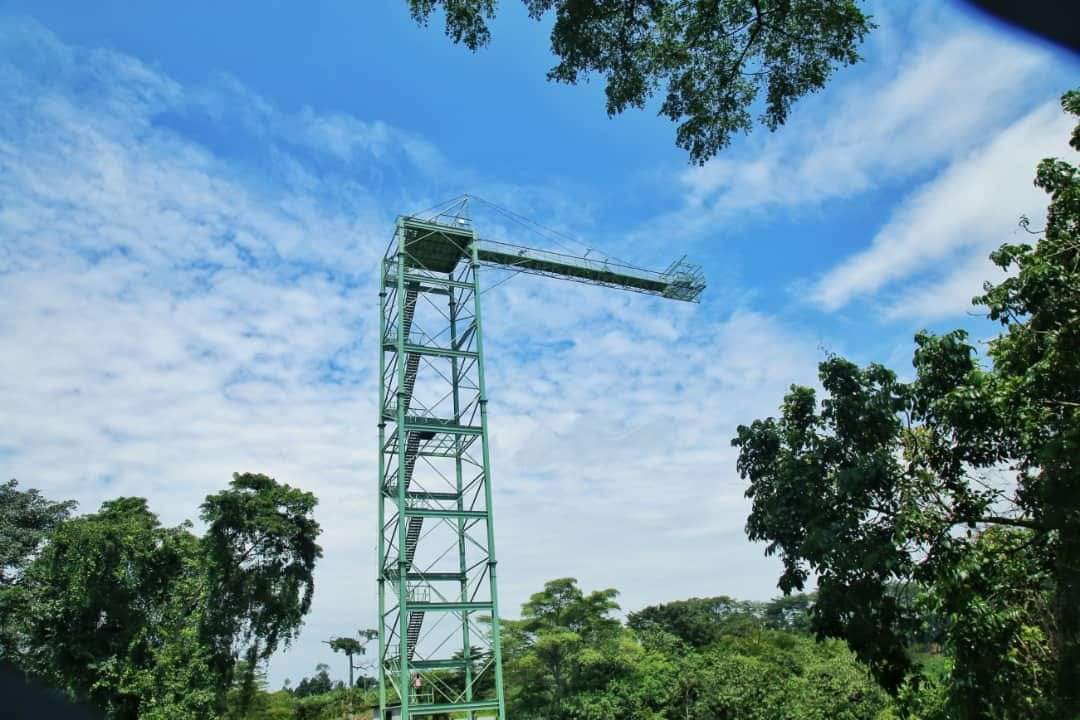 jinjacity's tweet image. NEW BUNGEE JUMPING FACILITY OPENS IN JINJA. @ARiverbase. The Bungee is the second in Jinja and tallest in East Africa. The Bungee also features the first pedestrian suspension bridge in Jinja. 
For inquiries :            info@adrift.ug
 +256 (0) 755 225587
adrift.ug/bungee-jumping